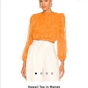 Elliatt Hawaii top